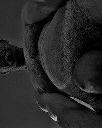 album-cover