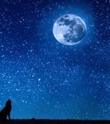 geilehomo72's Avatar