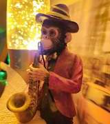 Bigdanbo4848's Avatar