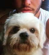 rickyfernan123's Avatar