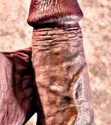 sweatvirgil's Avatar