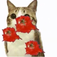 Tedddybear1990's Avatar