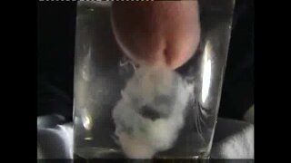 A request - Cum int water 1