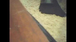 Thumb 10