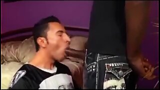 Hard Wood(full scene)