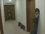 Thumb 9