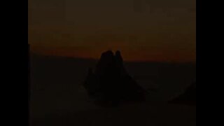 Thumb 10
