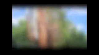 Thumb 7