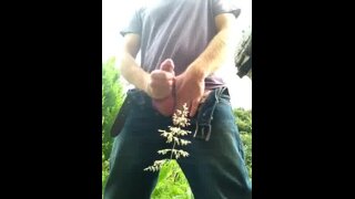 Thumb 1