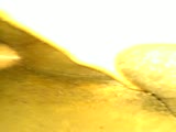 Thumb 8