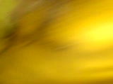 Thumb 9