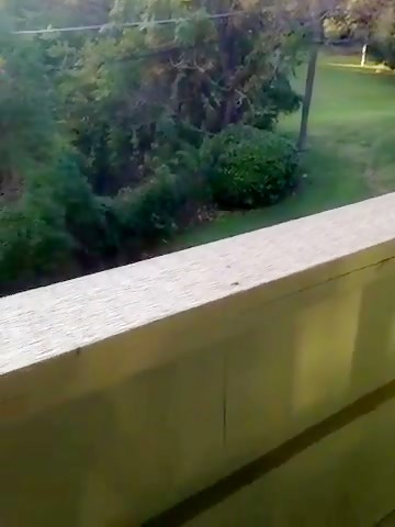 Some dicks worth to remember (reposts)