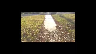 Thumb 9
