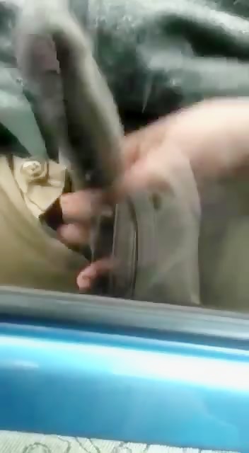 toc toc black dreams