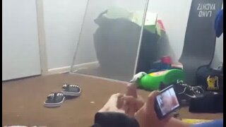 Thumb 1