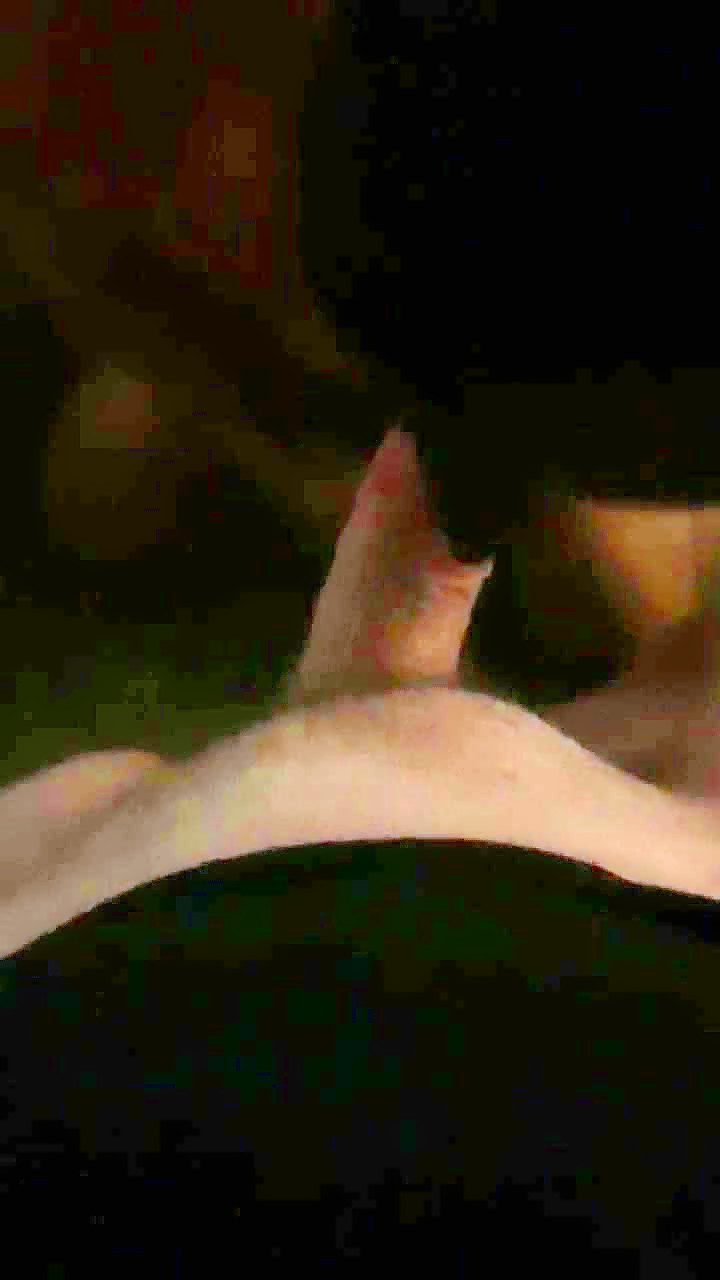 Hung daddy