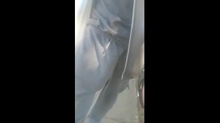 Gigant Cock