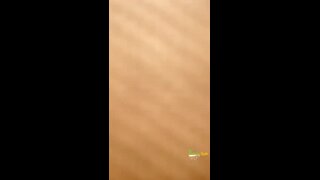 Thumb 7