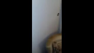 Thumb 10