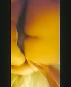 Me Fucked Raw by Hung Black Top