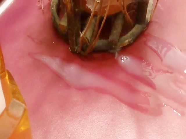 Massive cumshot gusher 1