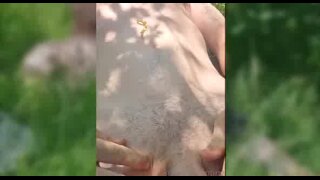 Thumb 10