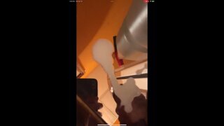 Thumb 10