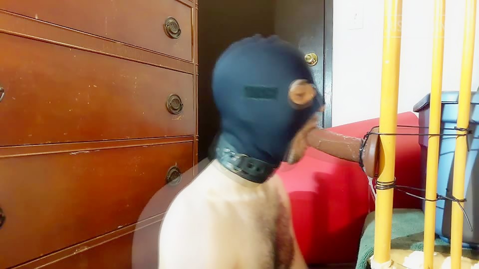 Thumb 11