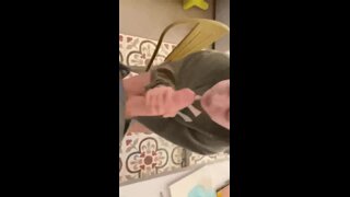 Thumb 1