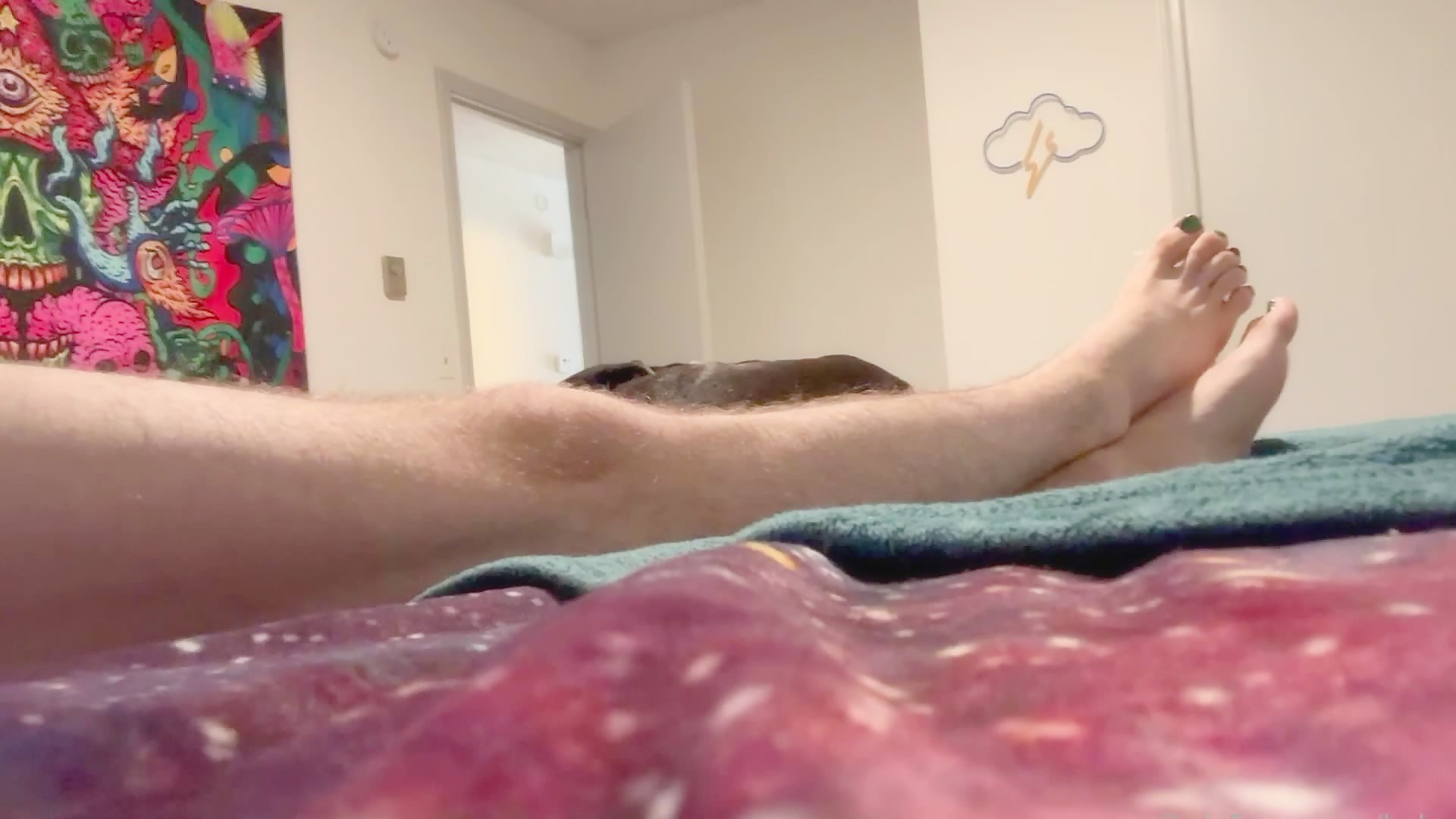 bwc reveal underwear