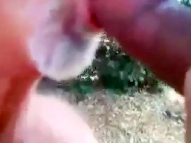 Je suce une grosse bite - partouze gay en plein air avec un ours amateur