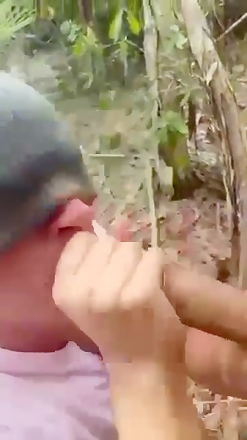 Monstercock drained in woods