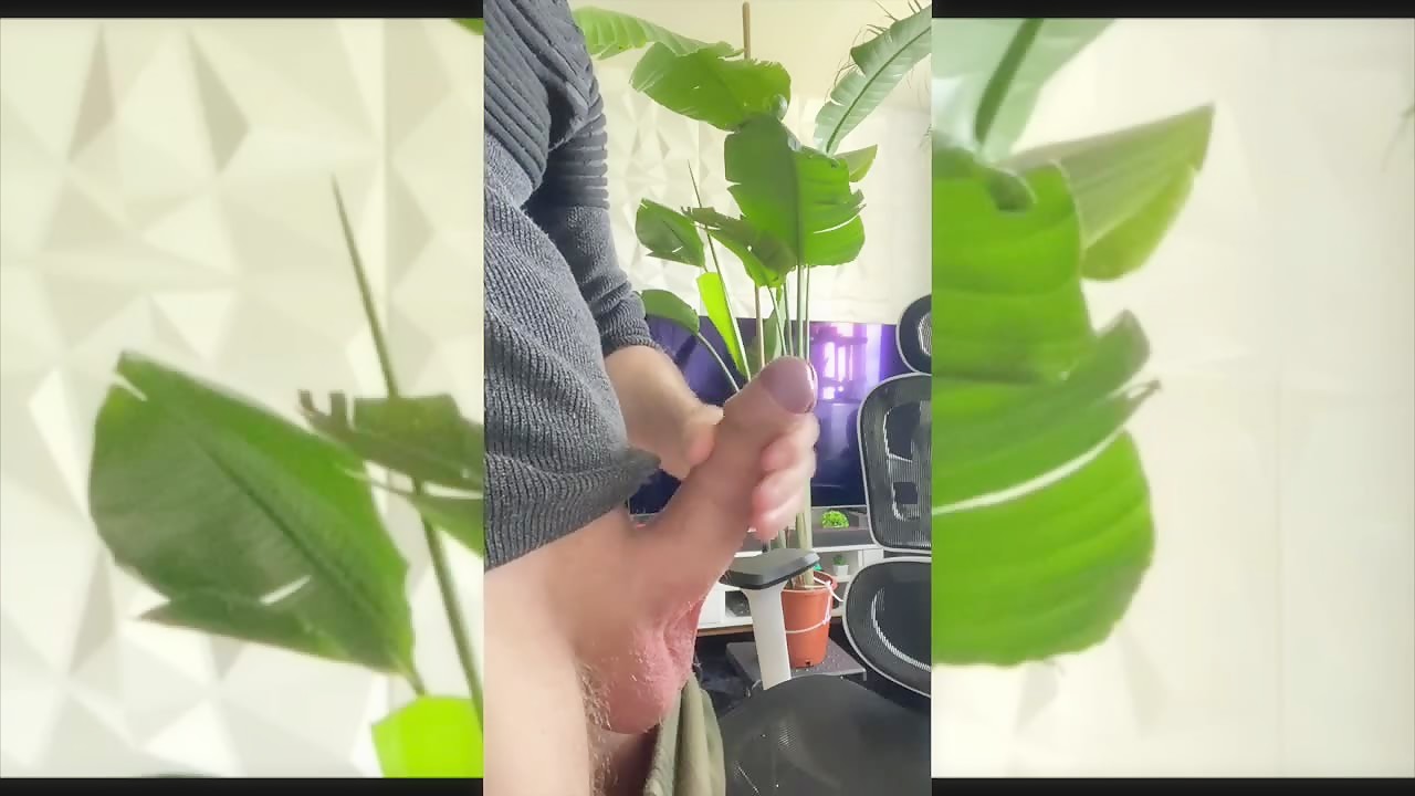 Best of Jojo62 – 2024