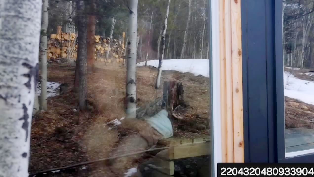 Matt Dubbe and YesBrawn