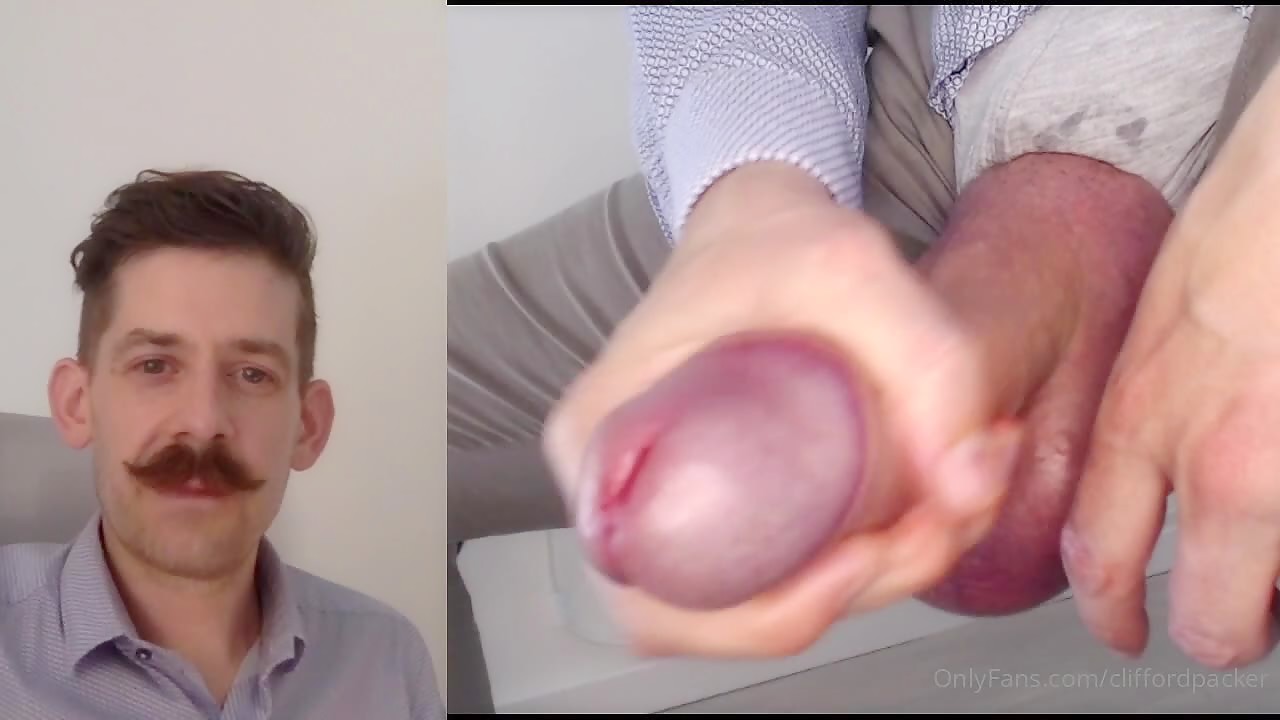 The Male Reproductive System