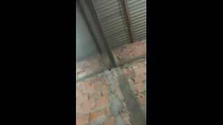 Thumb 9