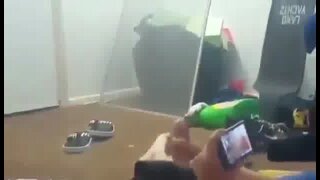 Roommate strokes off his big dick