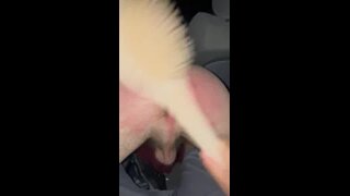 BRO GETS HIS HAIRY ASS SPANKED BY HIS FRIEND