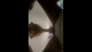 Thumb 8