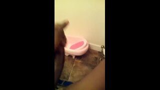 Long BBC