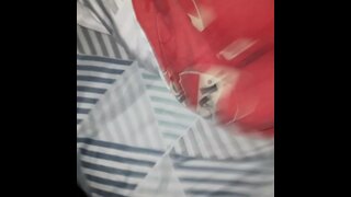 Thumb 10