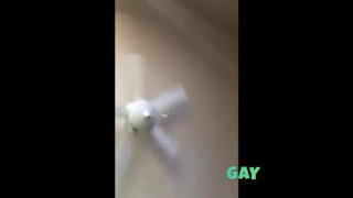 Thumb 7
