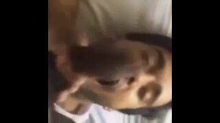 Indian Amateur Sucks a Big Black Cock