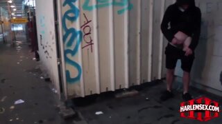 Harlem !!!